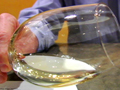 TasteTV is a San Francisco lifestyle and food network with San Francisco Food Video, San Francisco Fashion Video, Recipe Videos, San Francisco Restaurant Videos, San Francisco Restaurant Reviews, San Francisco Wine Videos, Chocolate Videos and an Online Community 