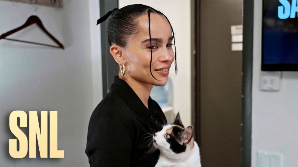 SNL and Zoe Kravitz create one of the funniest cat videos ever TasteTV